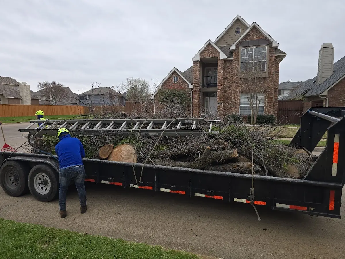 Expert Tree Fertilization with proper safety equipment in Blue Diamond